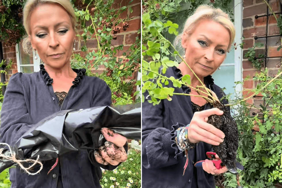 Anya demonstrating how to propagate