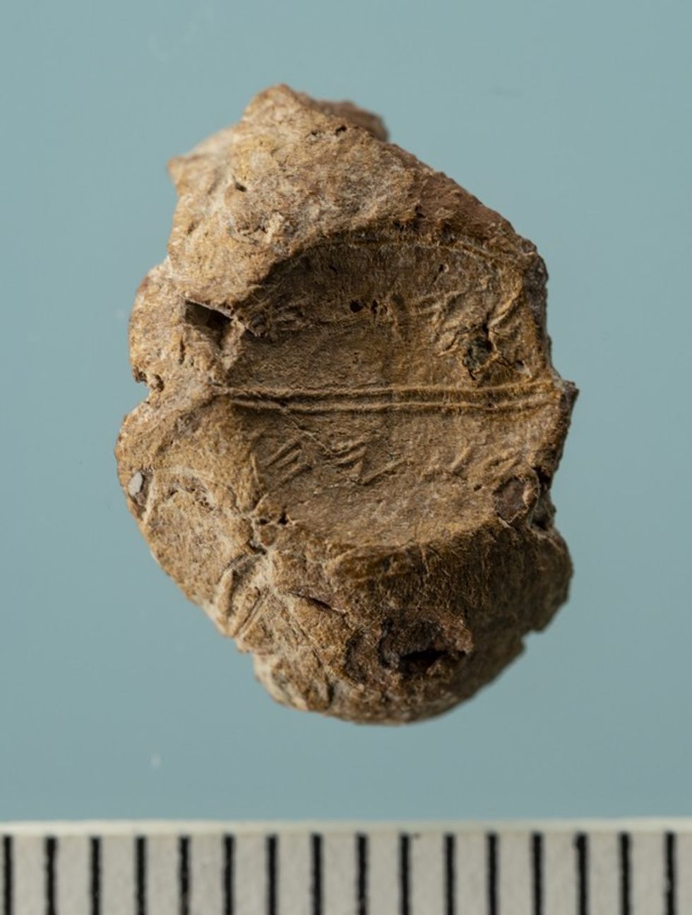 Biblical seal