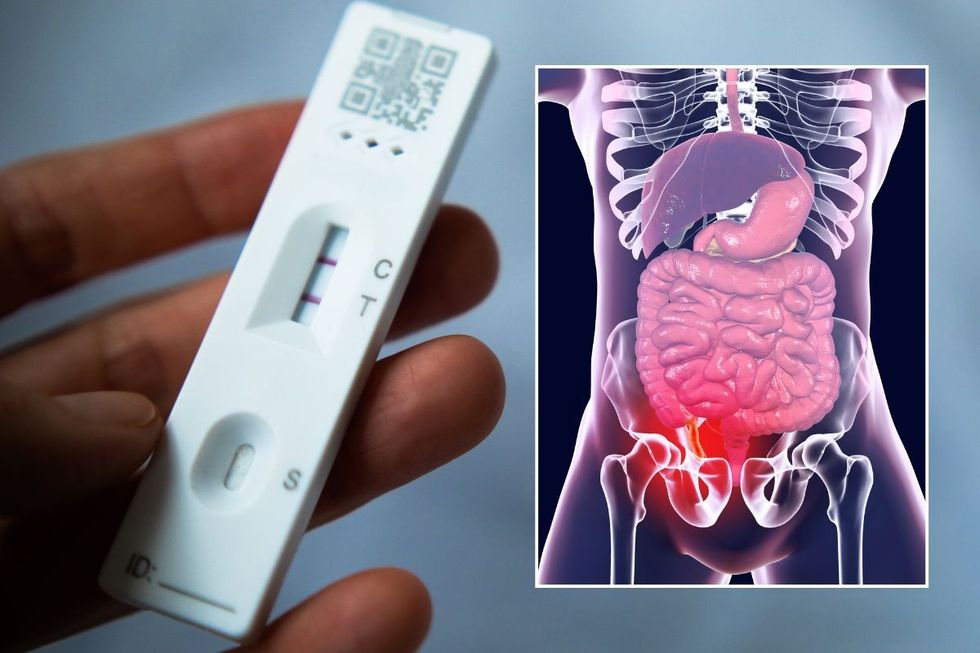 covid test and digestive system composite