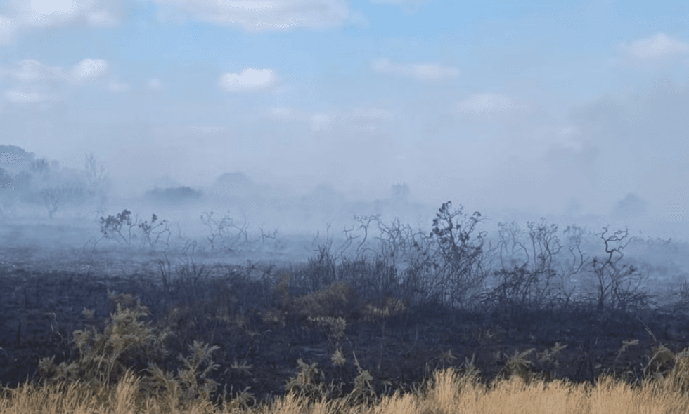 Dorset fire