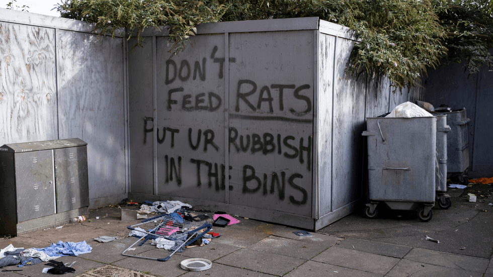 Graffiti about rats