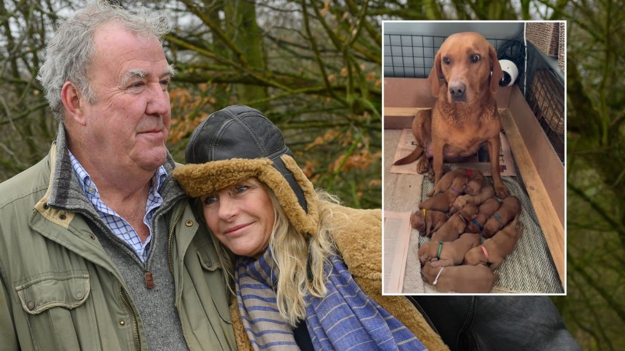 Jeremy Clarkson's girlfriend Lisa Hogan issues moving update after pet dog's death amid 'devastating' farm setbacks