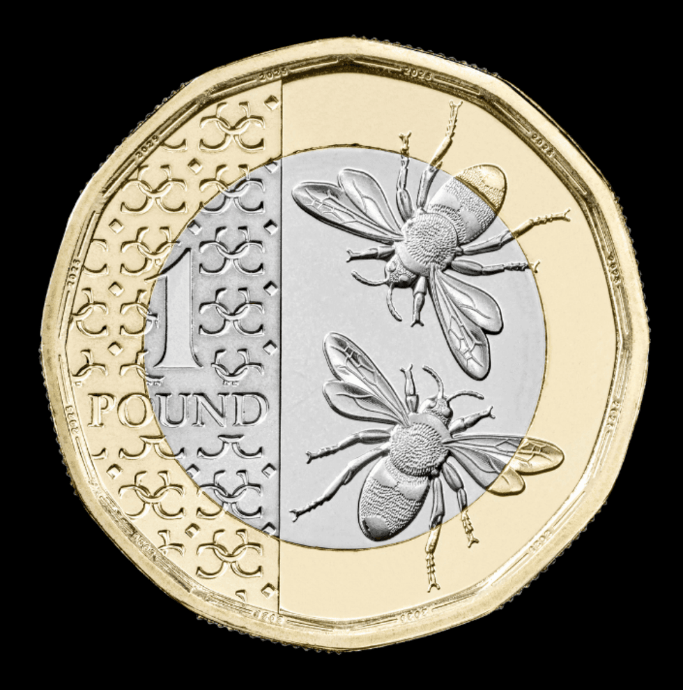 King Charles coin
