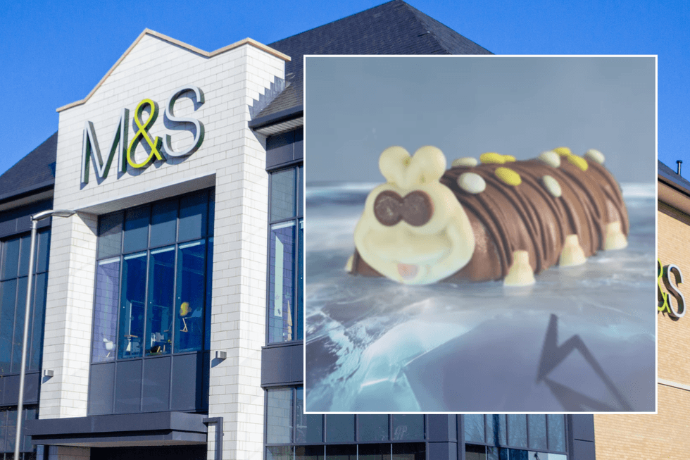 Marks & Spencer; Colin the Caterpillar