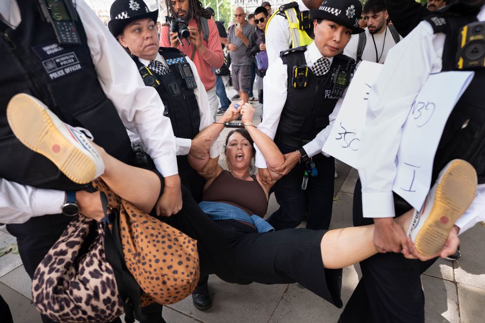 Police at Palestine protest