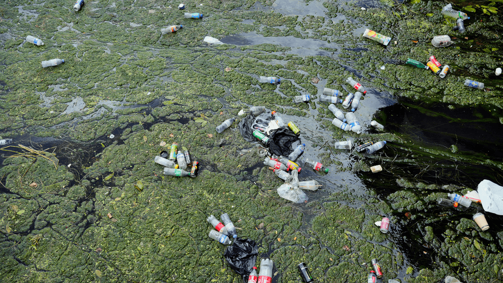 Pollution in the river