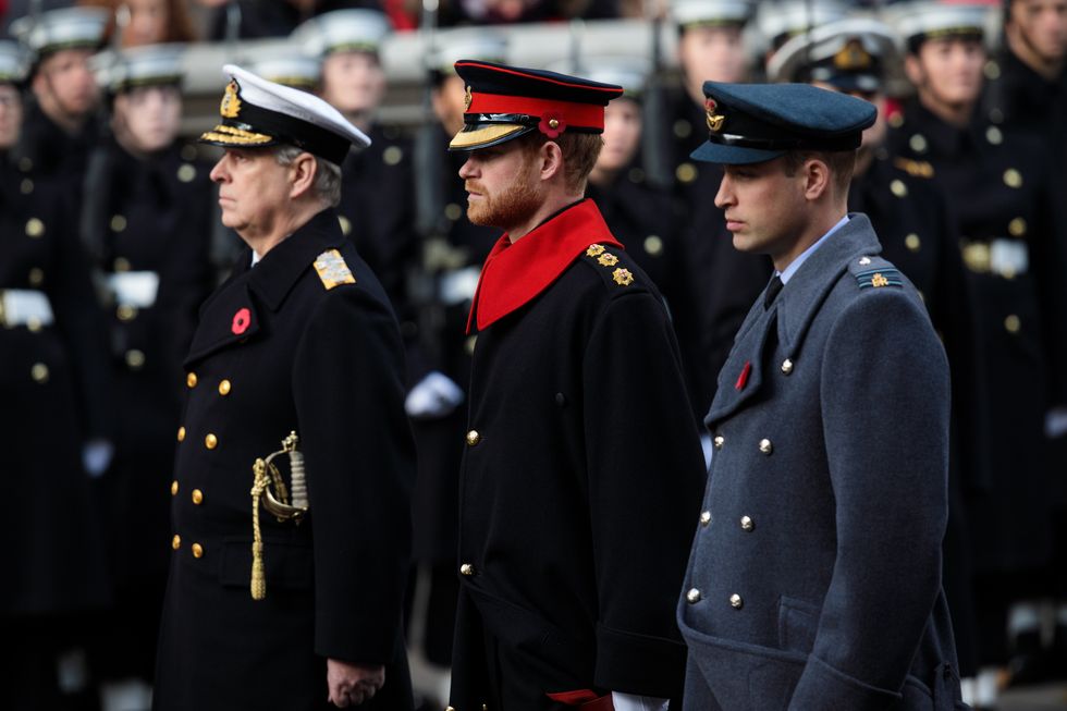Prince Andrew and Prince William