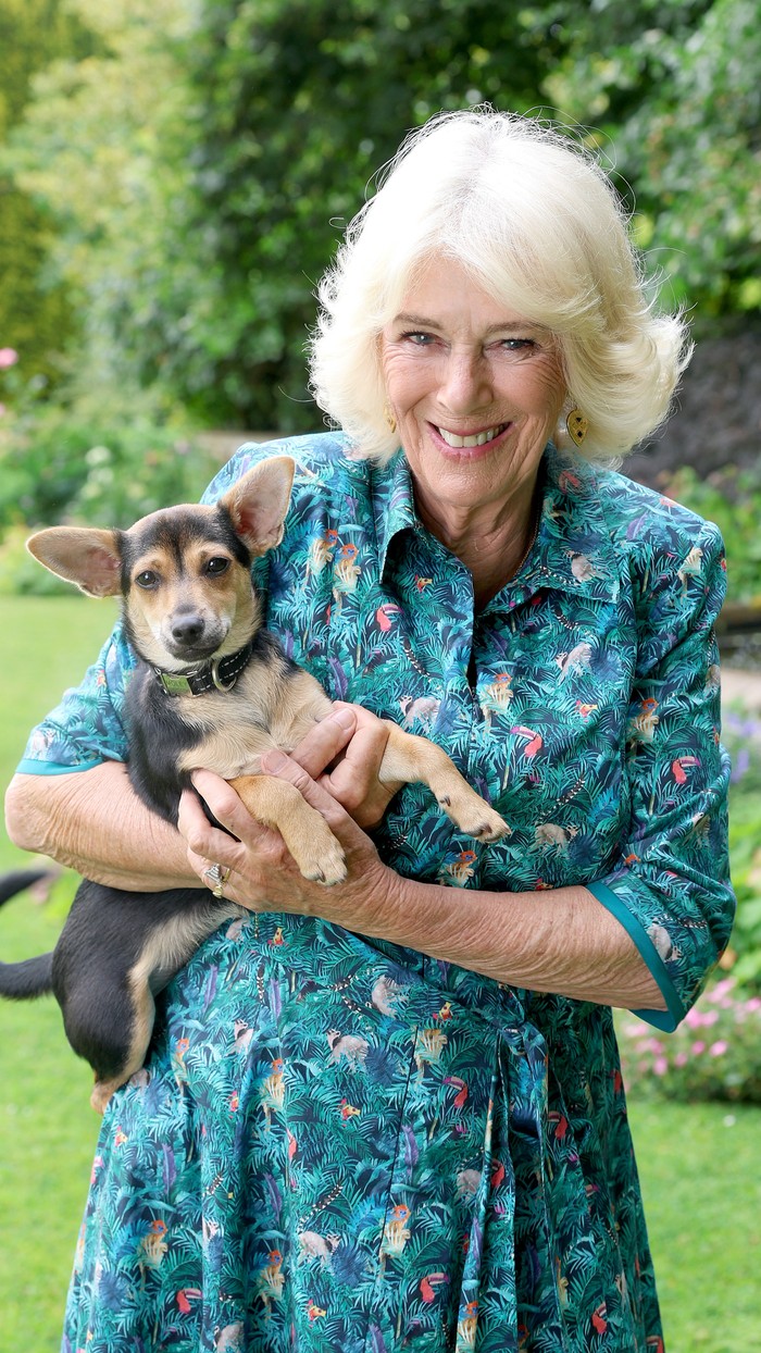 Queen Camilla