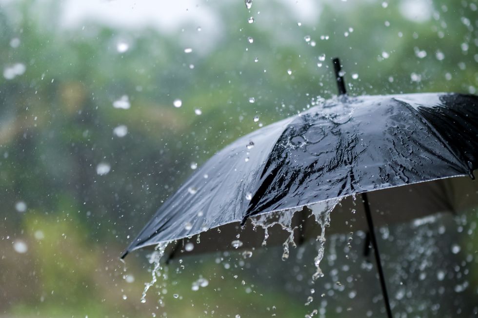 Rain falling on black umbrella