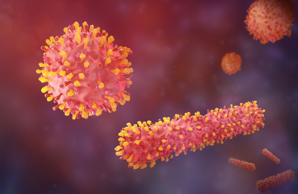 respiratory syncytial virus