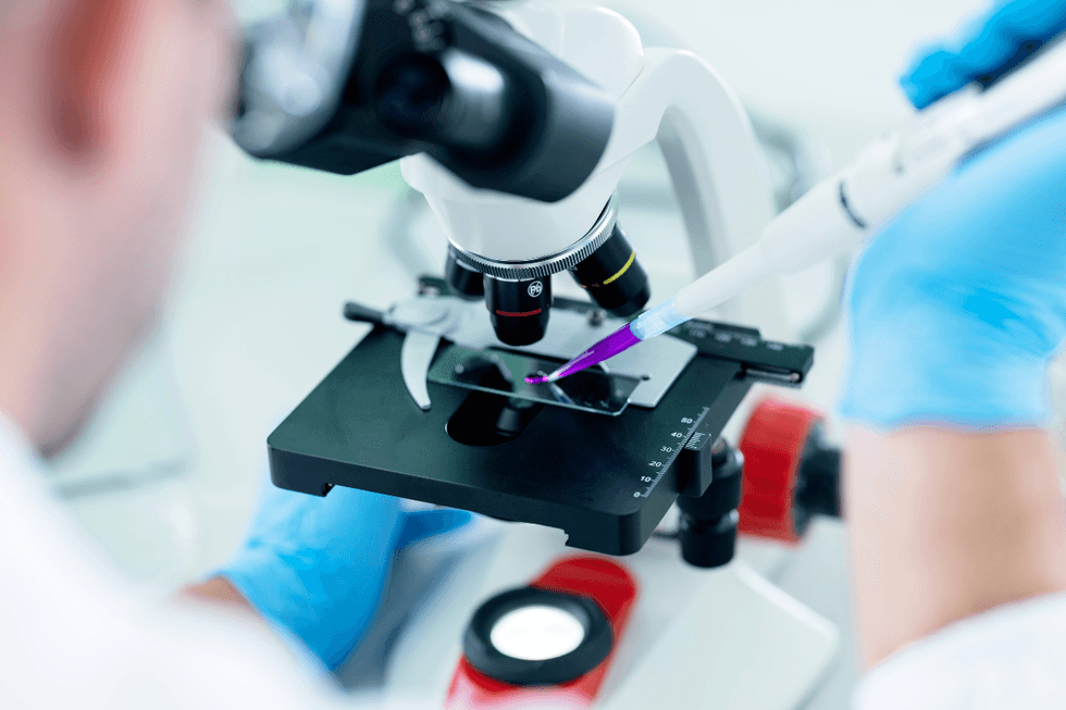Scientist examining cells