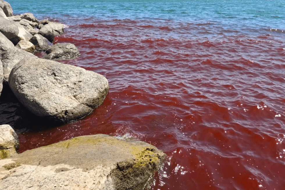 Sea of Galilee turned blood-red