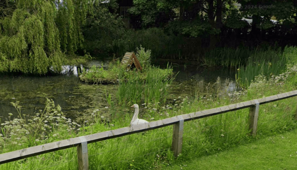 Stillington pond