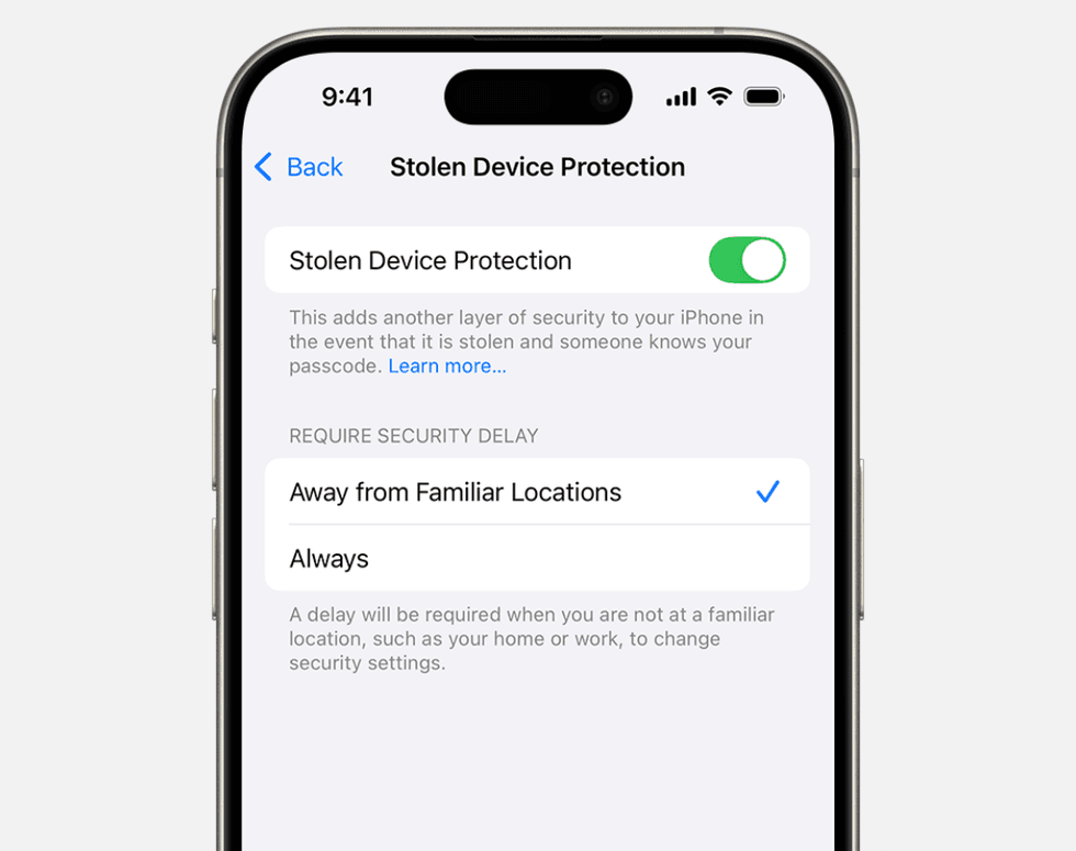 Stolen Device Protection settings screen pictured on the iphone