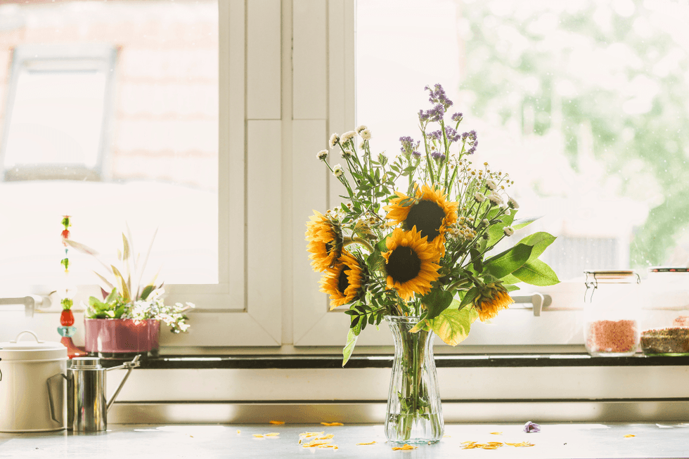 Sunflowers wilting on a kitchen side