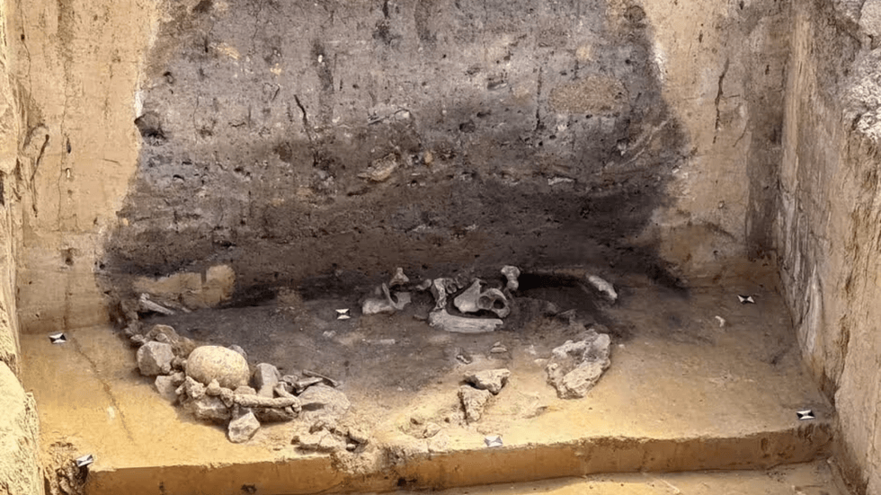 The pits uncovered