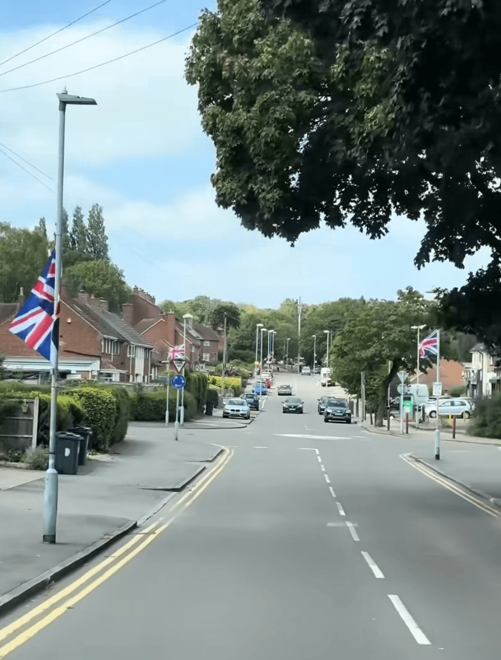 \u200bFlags on street poles