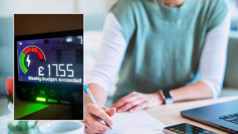 Woman doing finances and smart meter
