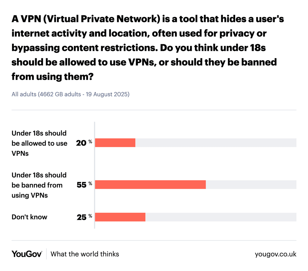 yougov survey result uk adults ban vpns